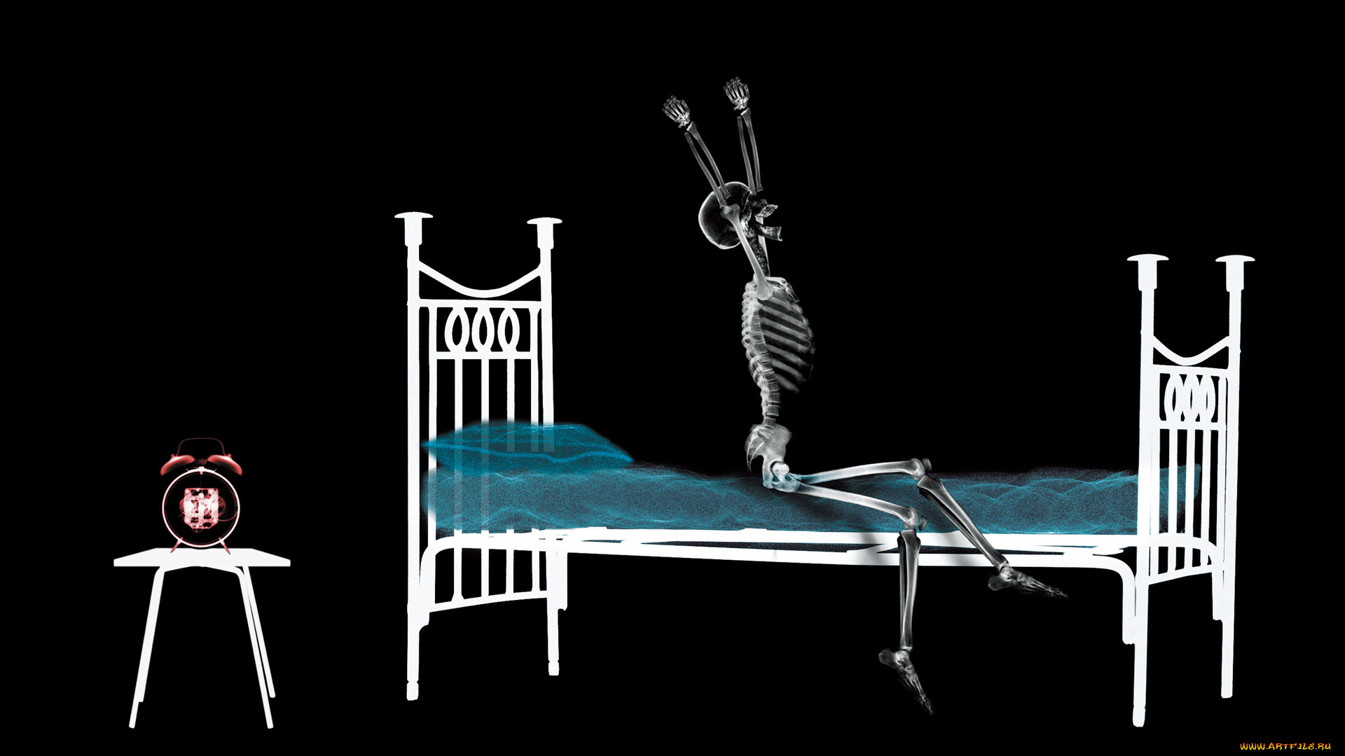 разное, кости, , рентген, кровать