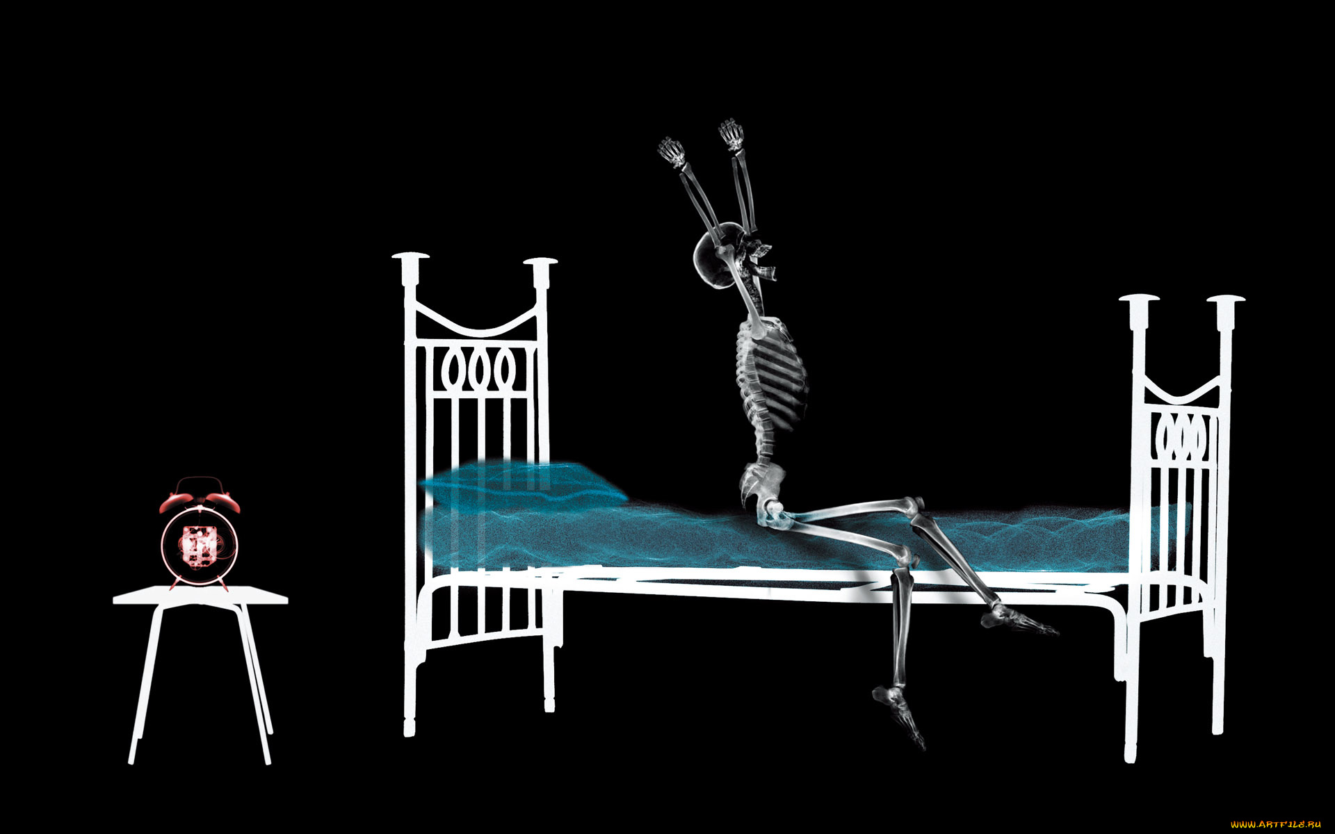 разное, кости, , рентген, кровать