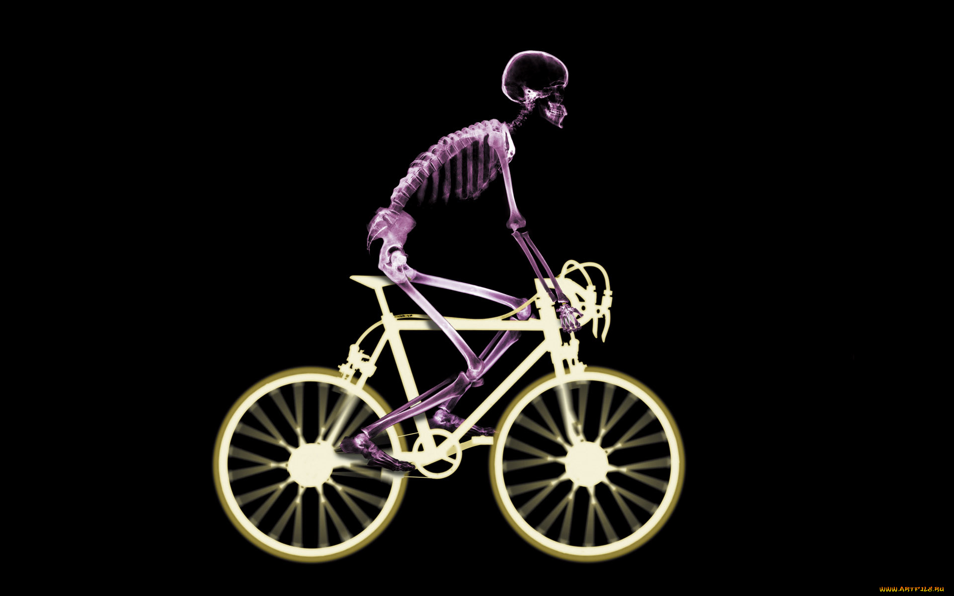 разное, кости, , рентген, велосипедист