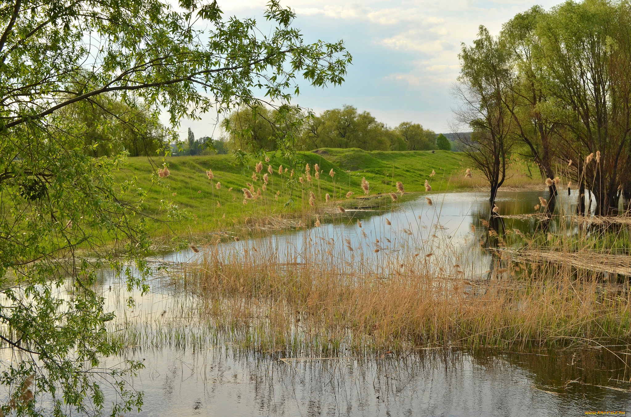 природа, реки, озера, река, лес