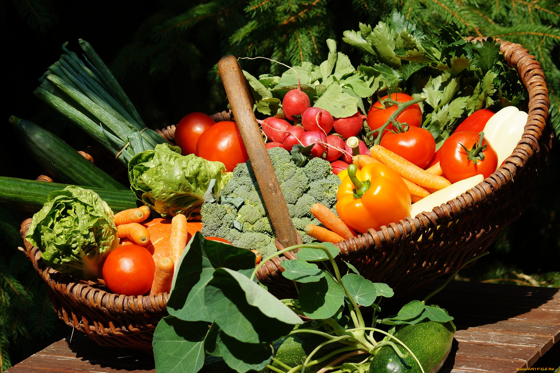 еда, овощи, огурцы, перец, зелень, помидоры, томаты, морковь, редис