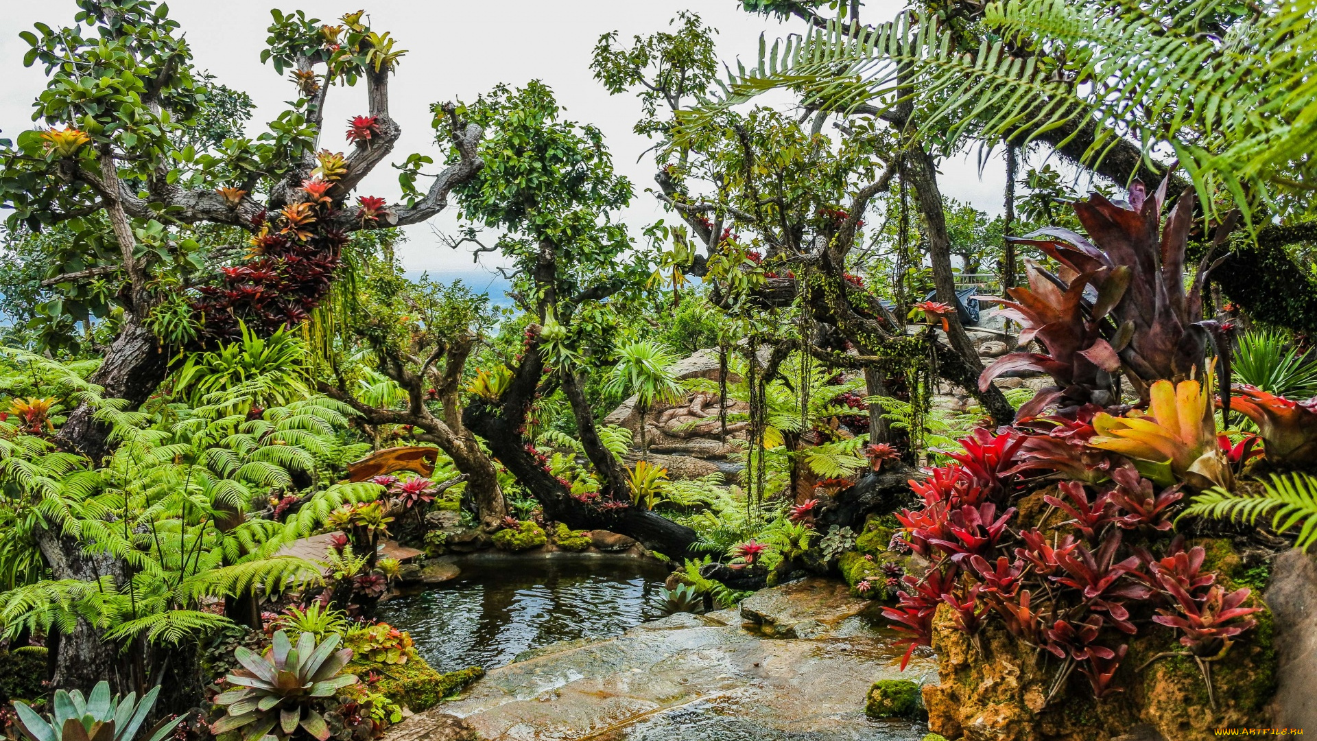 thailand, природа, парк