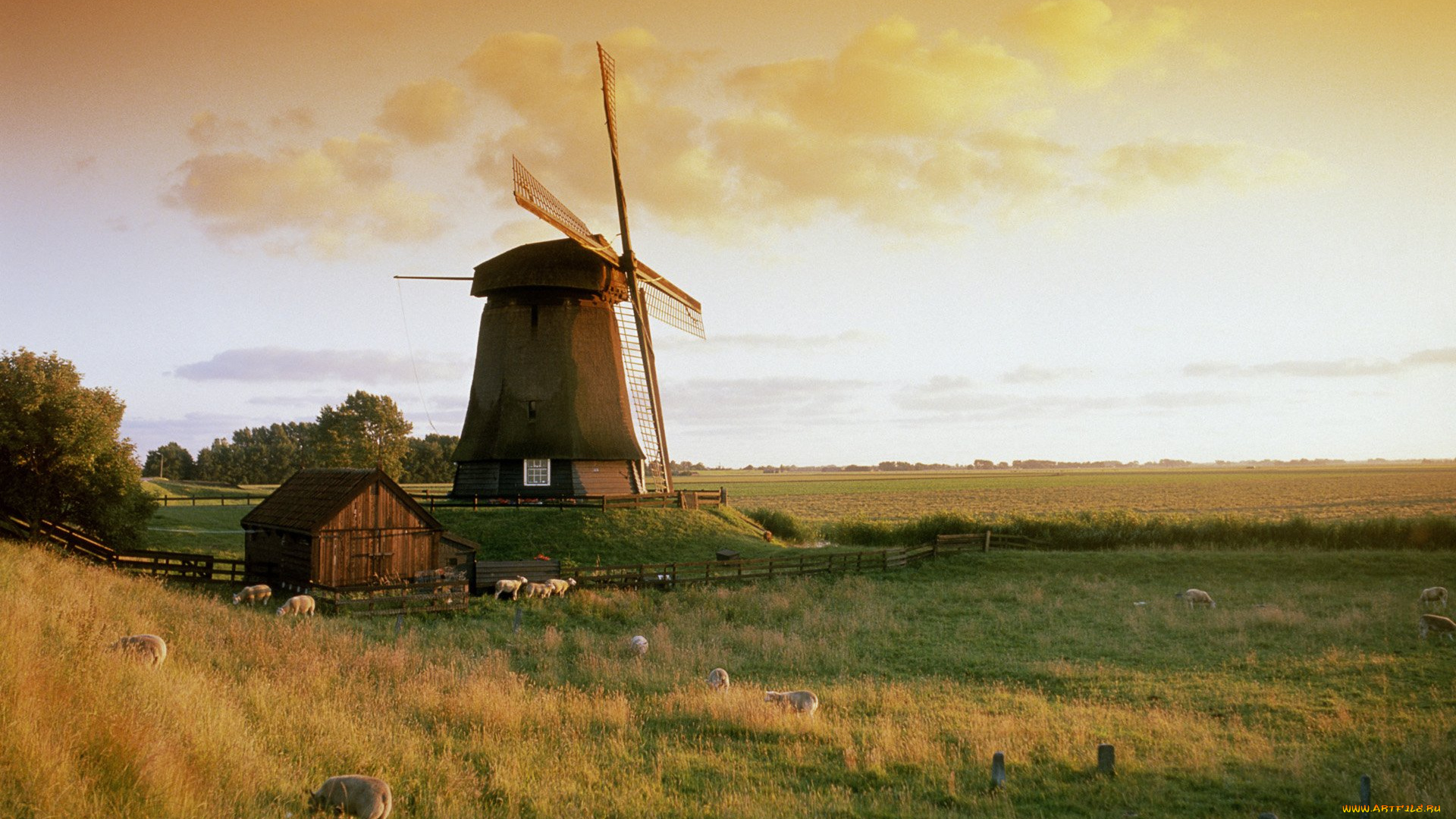 netherlands, molen, bij, alkmaar, разное, мельницы