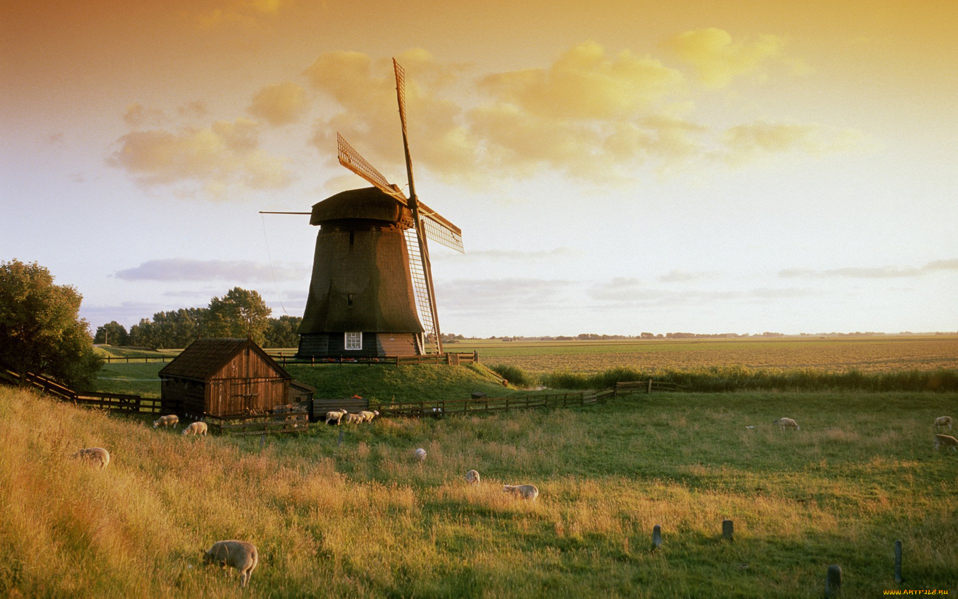 netherlands, molen, bij, alkmaar, разное, мельницы