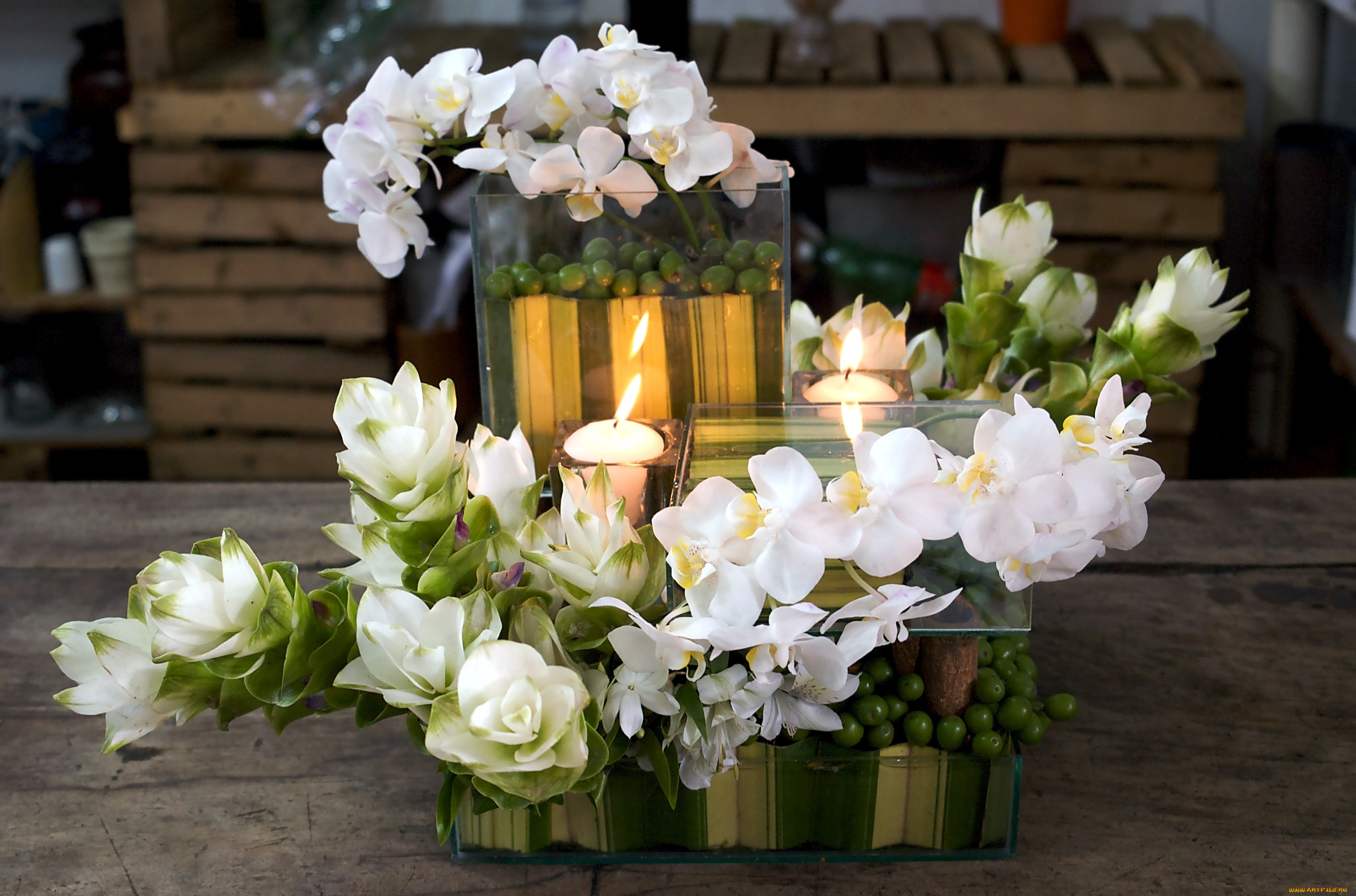 цветы, букеты, композиции, белый, орхидеи, свечи