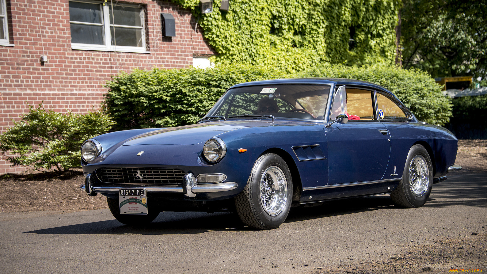 ferrari, 330gt, , 1966, автомобили, ferrari, автопробег, автошоу, выставка