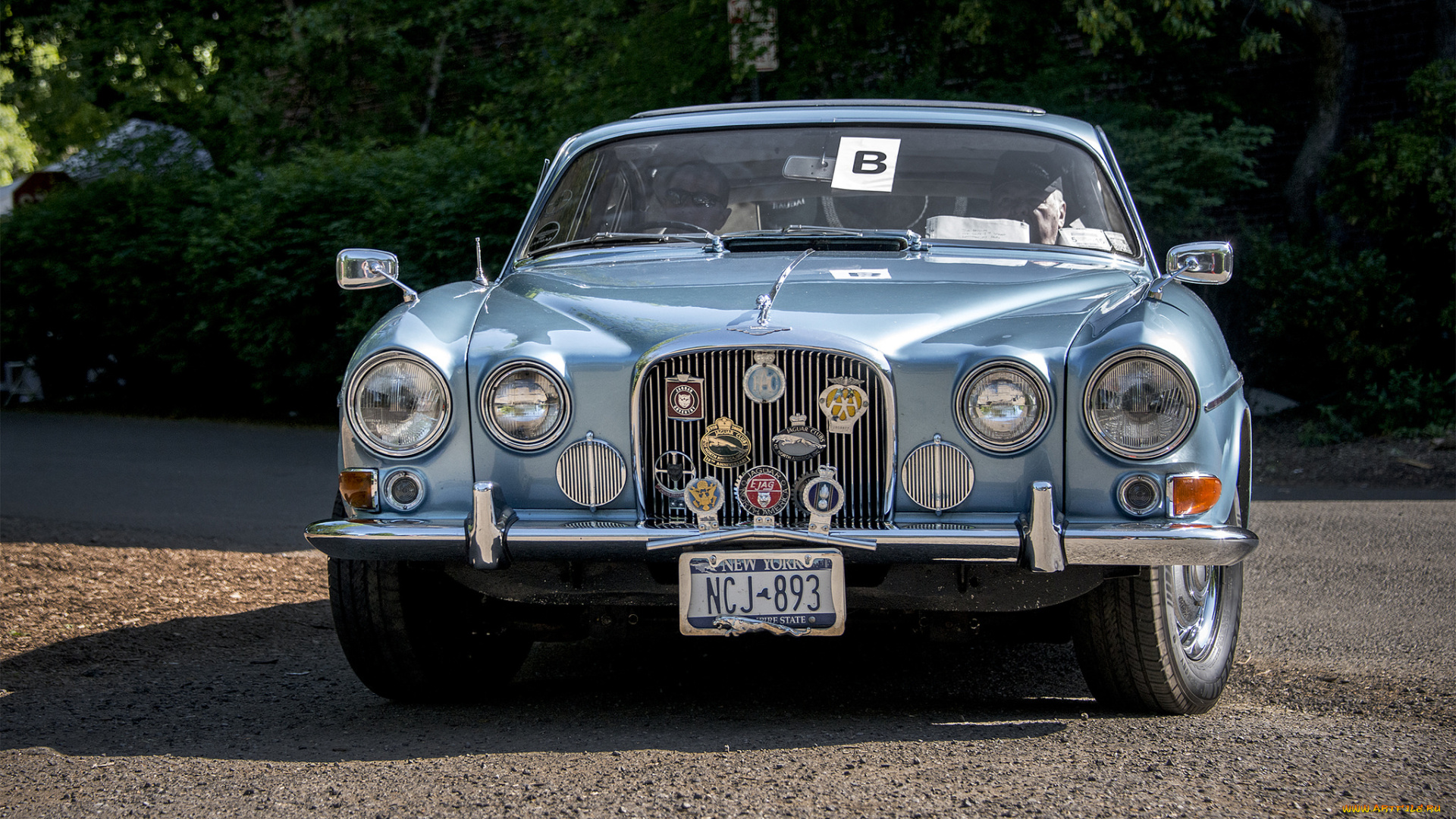 jaguar, mark, x, , 1956, автомобили, jaguar, автопробег, автошоу, выставка