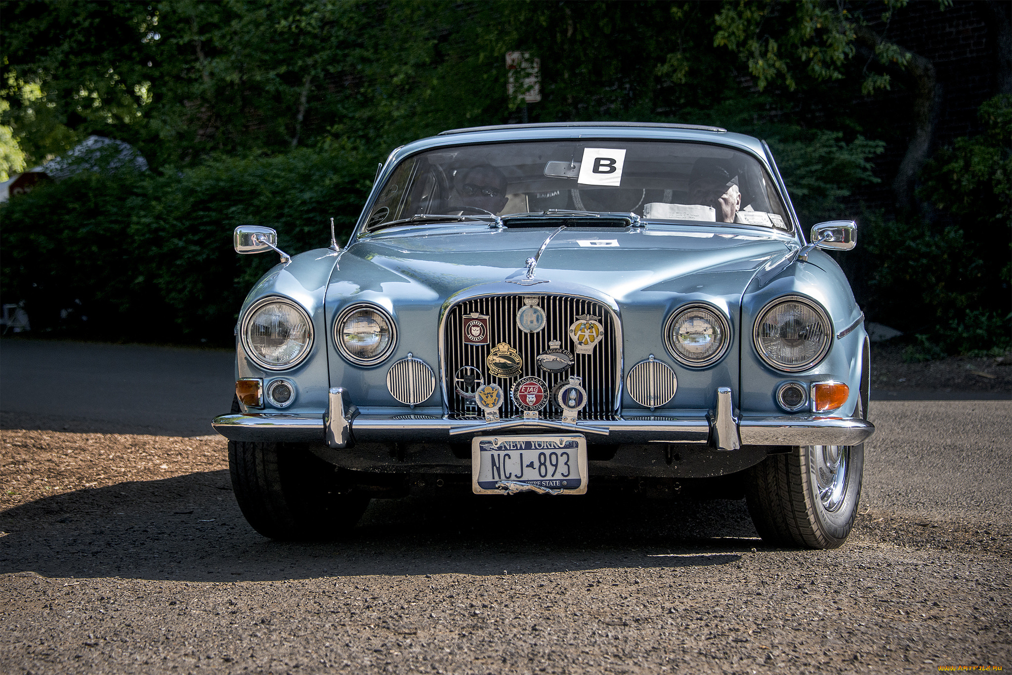 jaguar, mark, x, , 1956, автомобили, jaguar, автопробег, автошоу, выставка