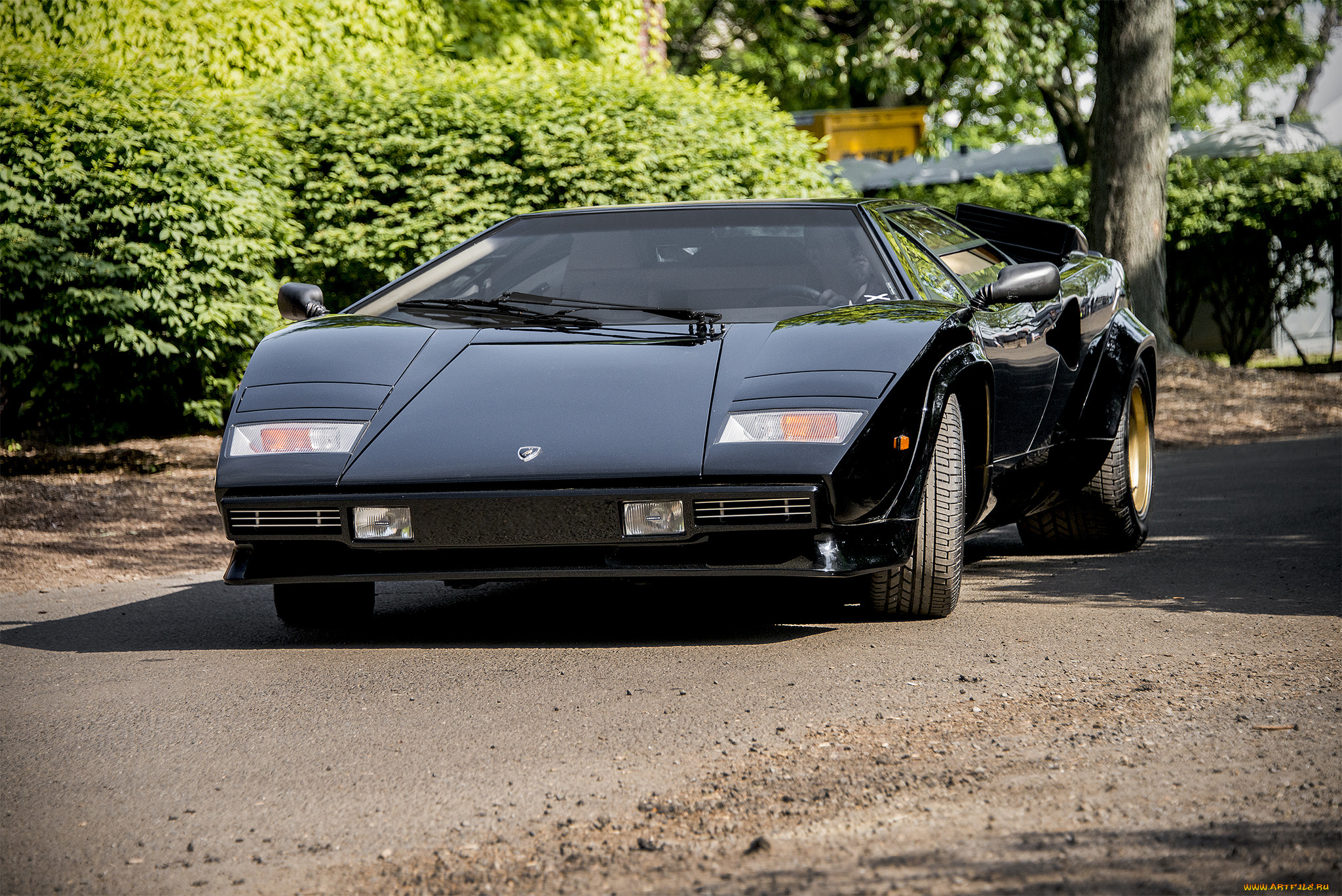 lamborghini, countach, автомобили, lamborghini, автопробег, выставка, автошоу