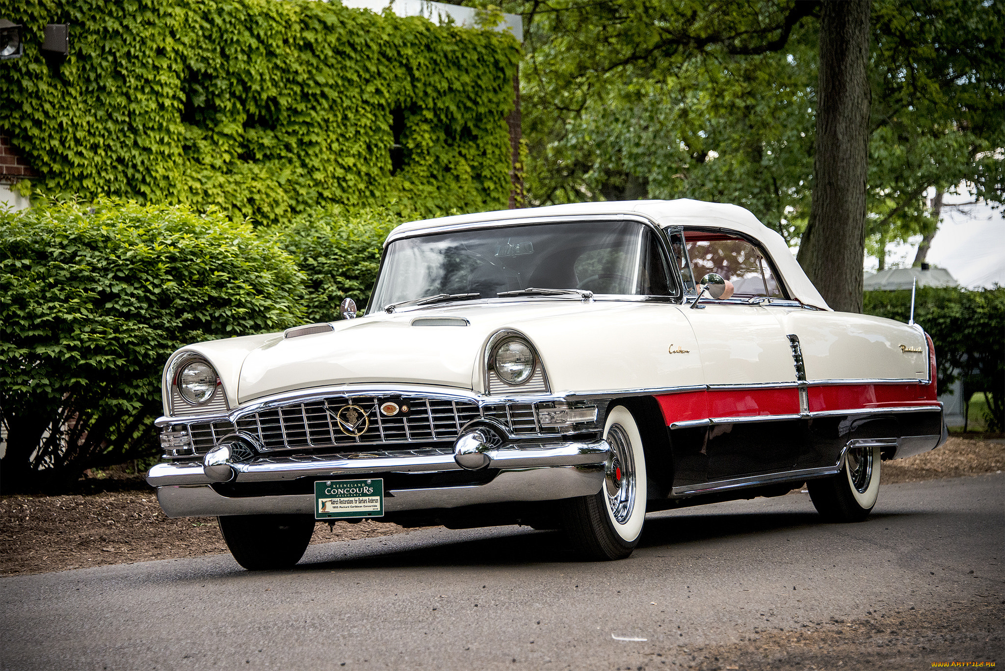 packard, caribbean, , 1956, автомобили, packard, автошоу, автопробег, выставка