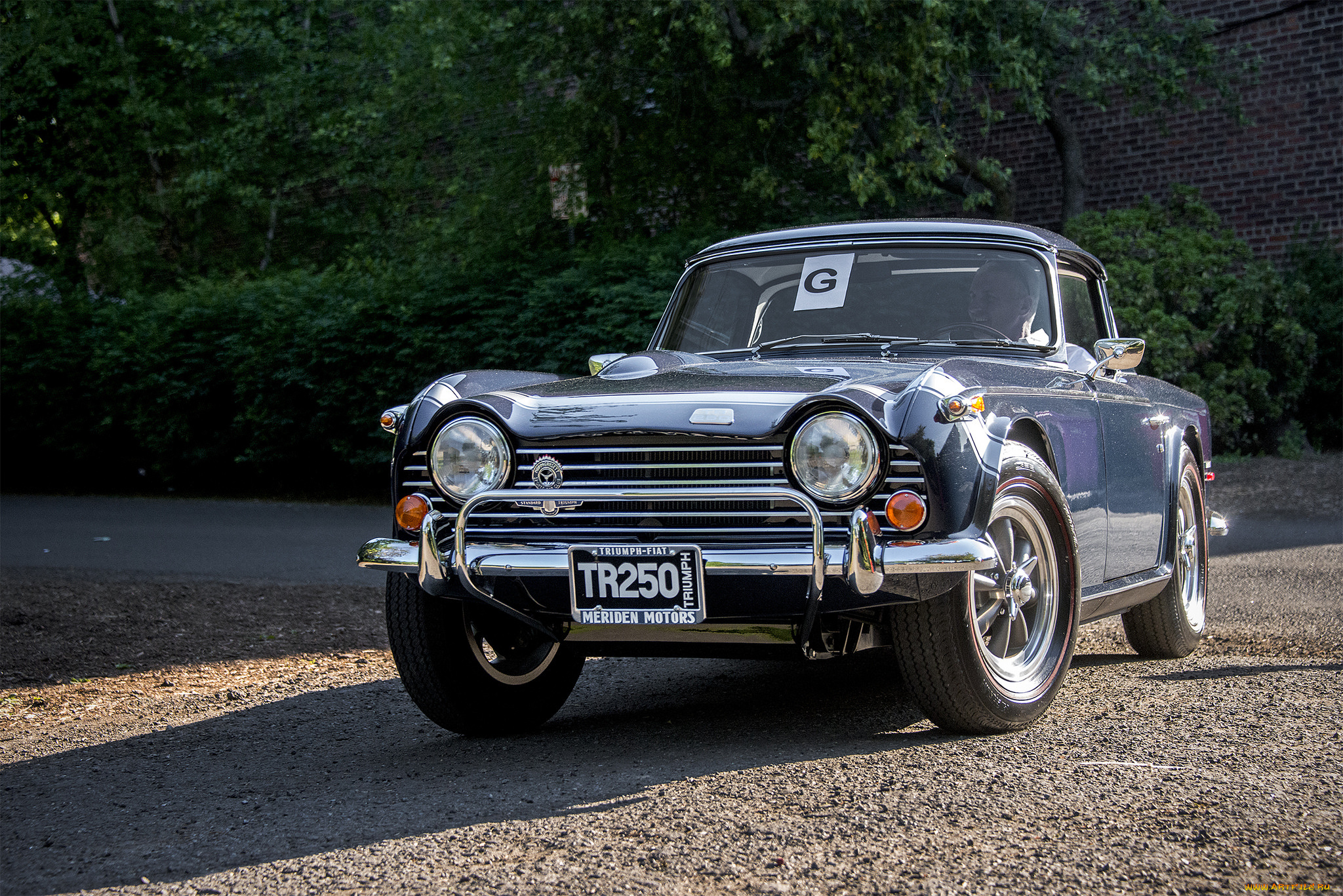 triumph, tr250, автомобили, triumph, автопробег, выставка, автошоу