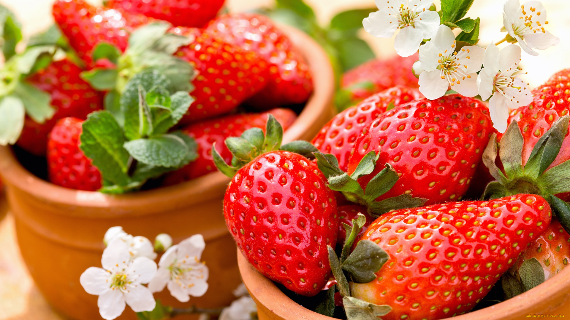 еда, клубника, , земляника, красные, ягоды, спелая, fresh, berries, strawberry, весна