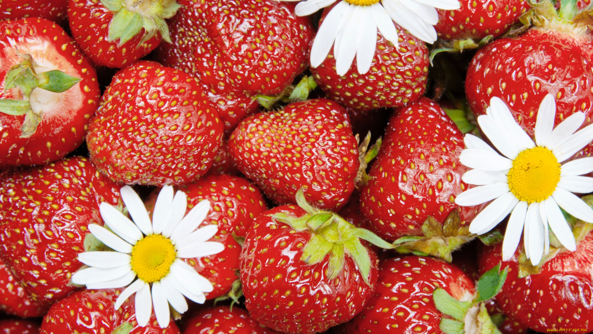 еда, клубника, , земляника, strawberry, весна, berries, спелая, ягоды, красные, цветы, fresh