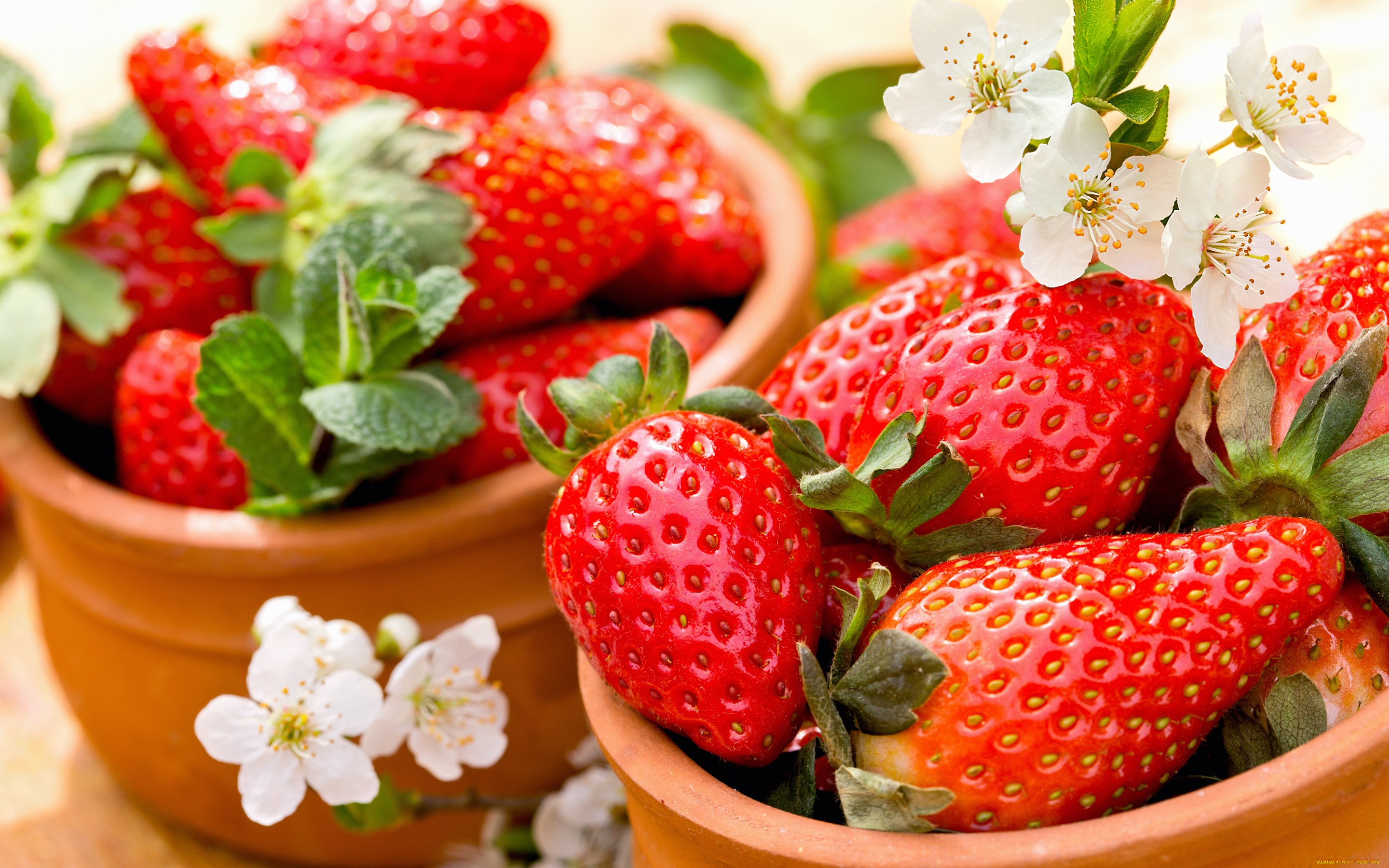 еда, клубника, , земляника, красные, ягоды, спелая, fresh, berries, strawberry, весна