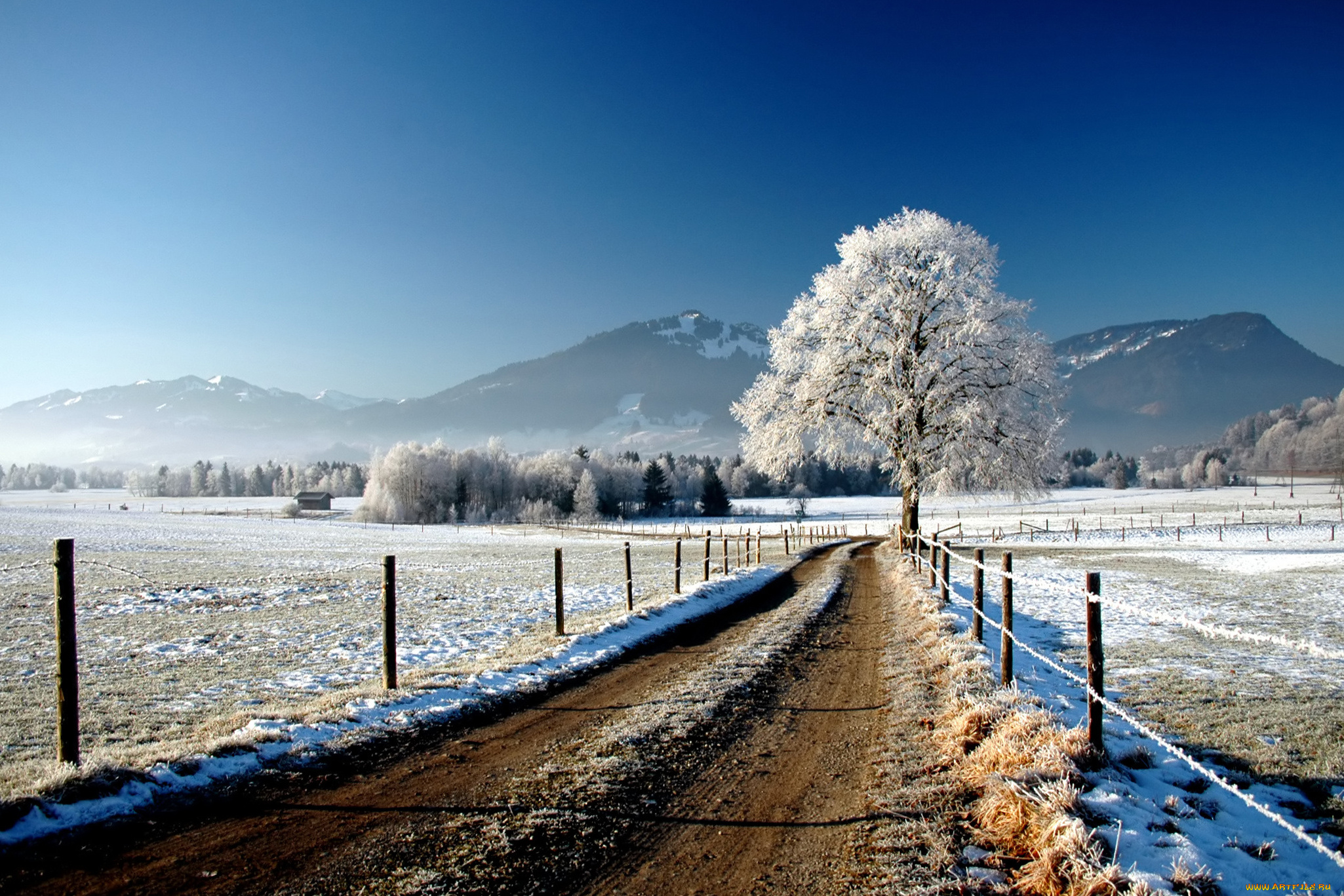природа, дороги, дорога, поле, забор, дерево, снег, зима