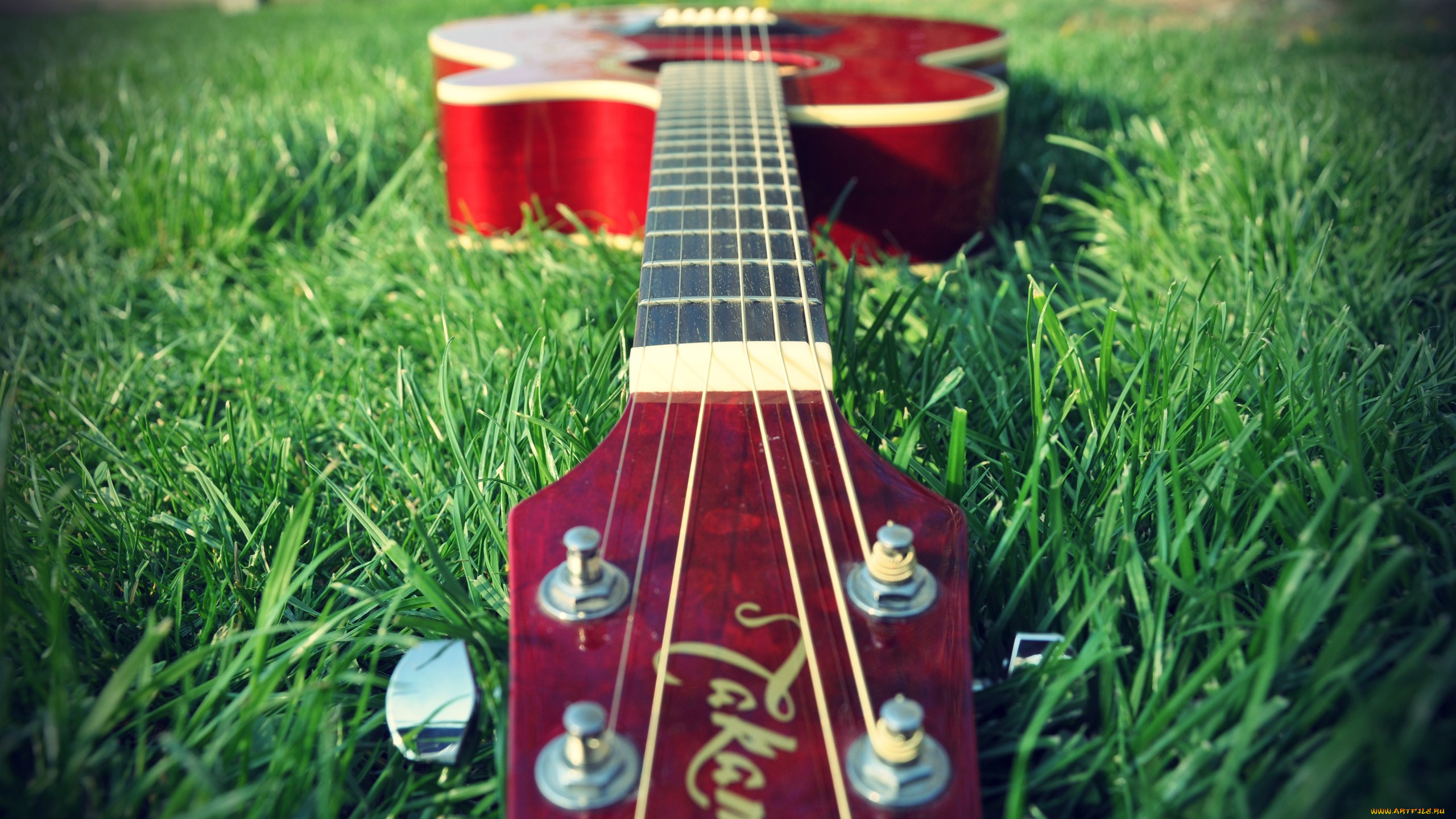 музыка, -музыкальные, инструменты, трава, гитара