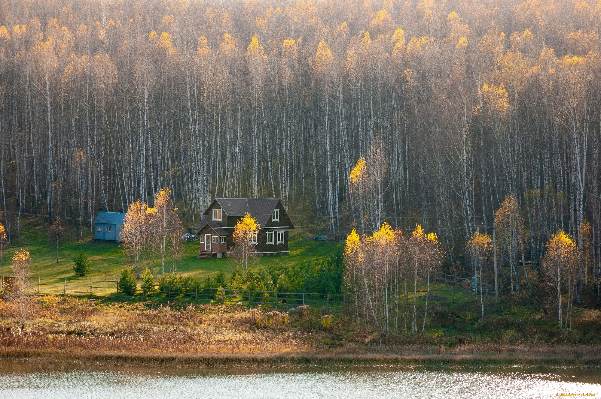 разное, сооружения, , постройки, лес