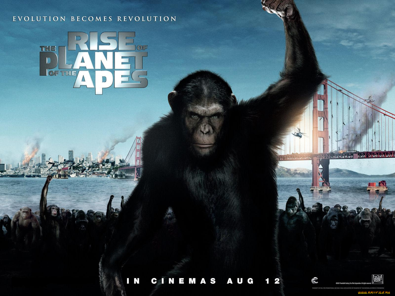 rise, of, the, planet, apes, кино, фильмы, восстание, обезьяна