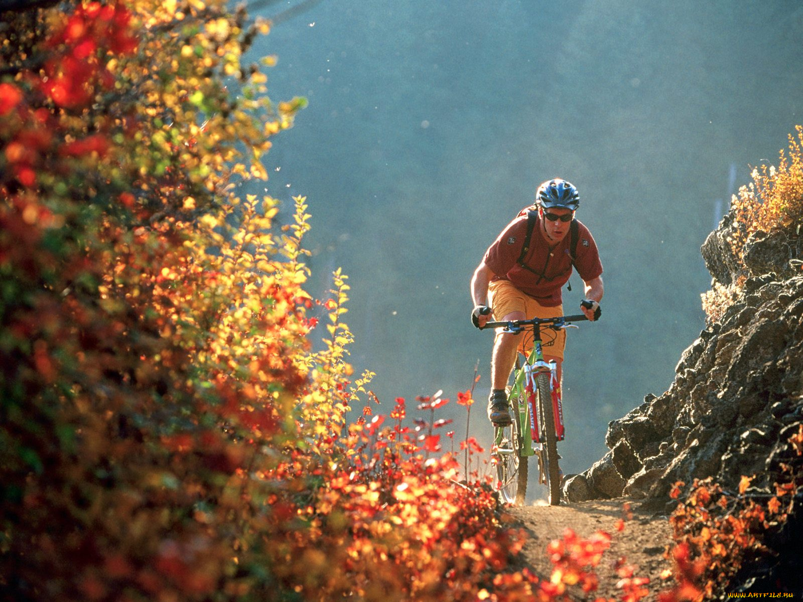 спорт, велоспорт, камни, кусты, осень