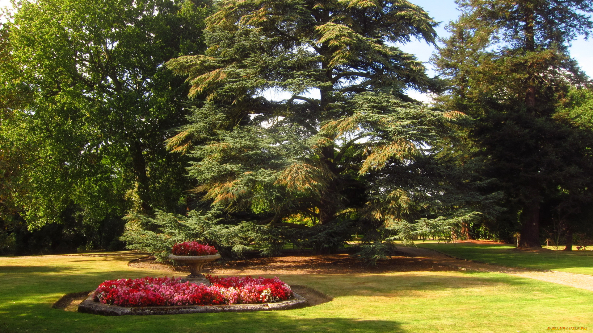 beale, arboretum, barnet, england, природа, парк, цветы, деревья