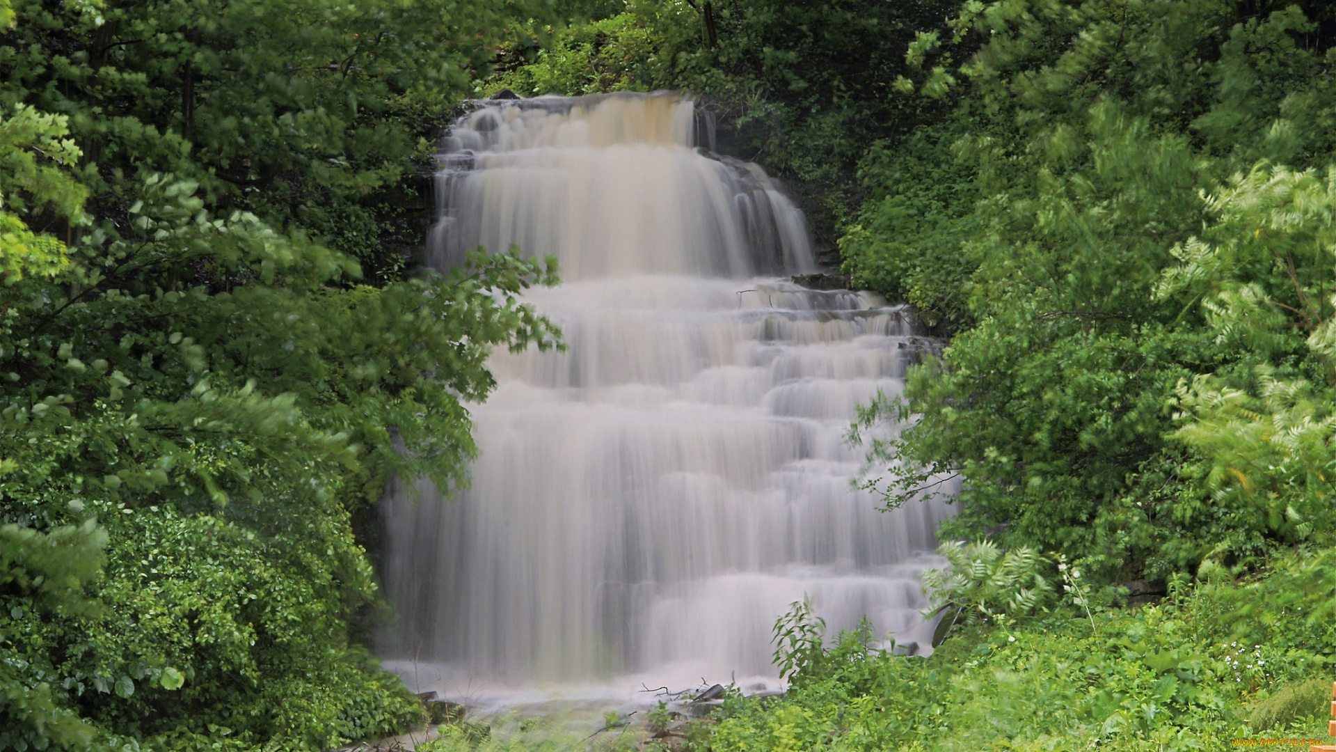 clarendon, falls, ny, природа, водопады, водопад, кларендон, каскад, поток, лес