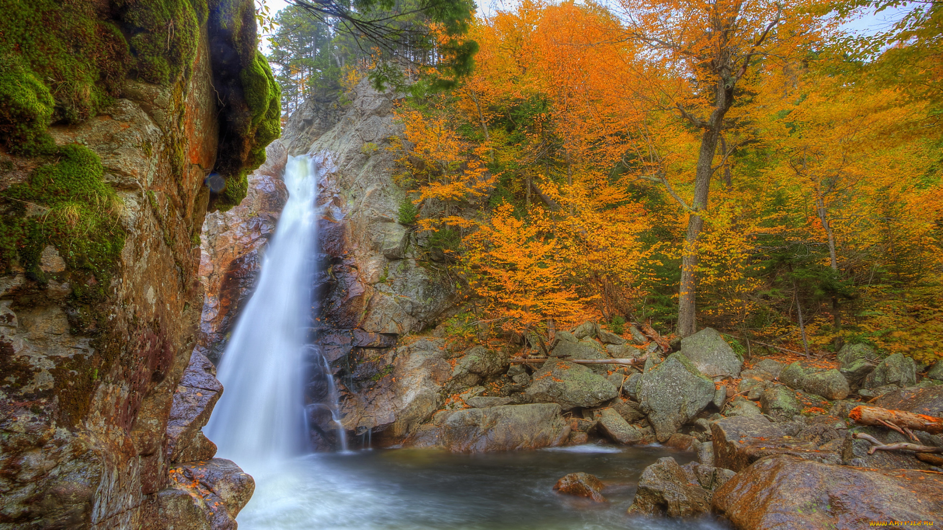 glen, ellis, falls, new, hampshire, us, природа, водопады, лес, водопад