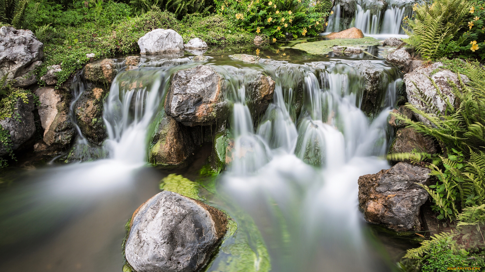 setagaya, park, japanese, garden, vienna, austria, природа, парк, австрия, каскад, камни, Японский, сад, вена