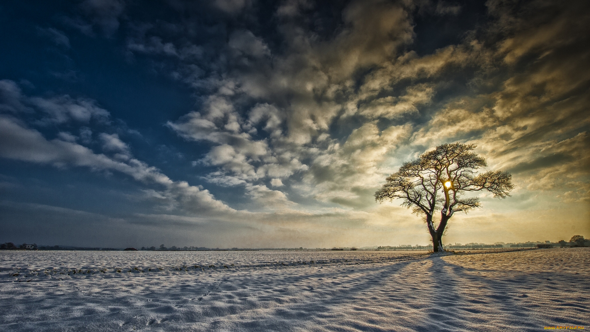 yorkshire, england, природа, зима, йоркшир, англия, снег, дерево, восход, облака