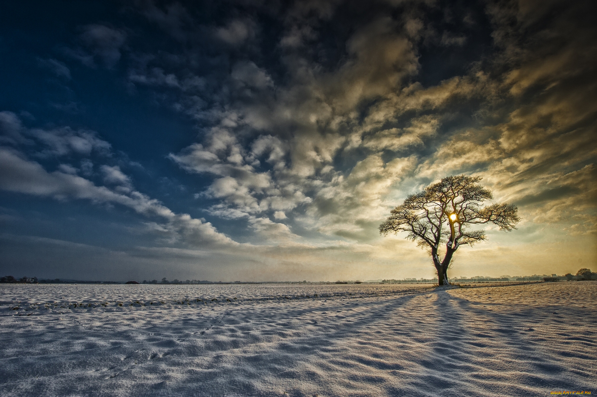 yorkshire, england, природа, зима, йоркшир, англия, снег, дерево, восход, облака