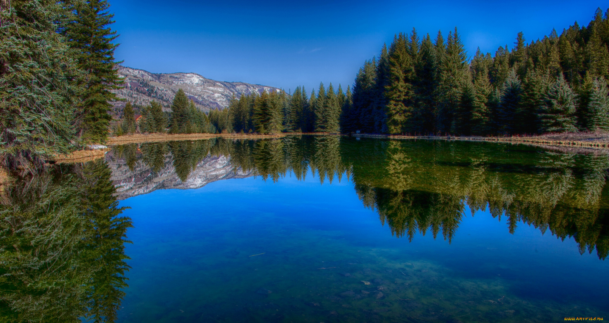 crystal, river, colorado, природа, реки, озера, колорадо, река, отражение, лес, горы