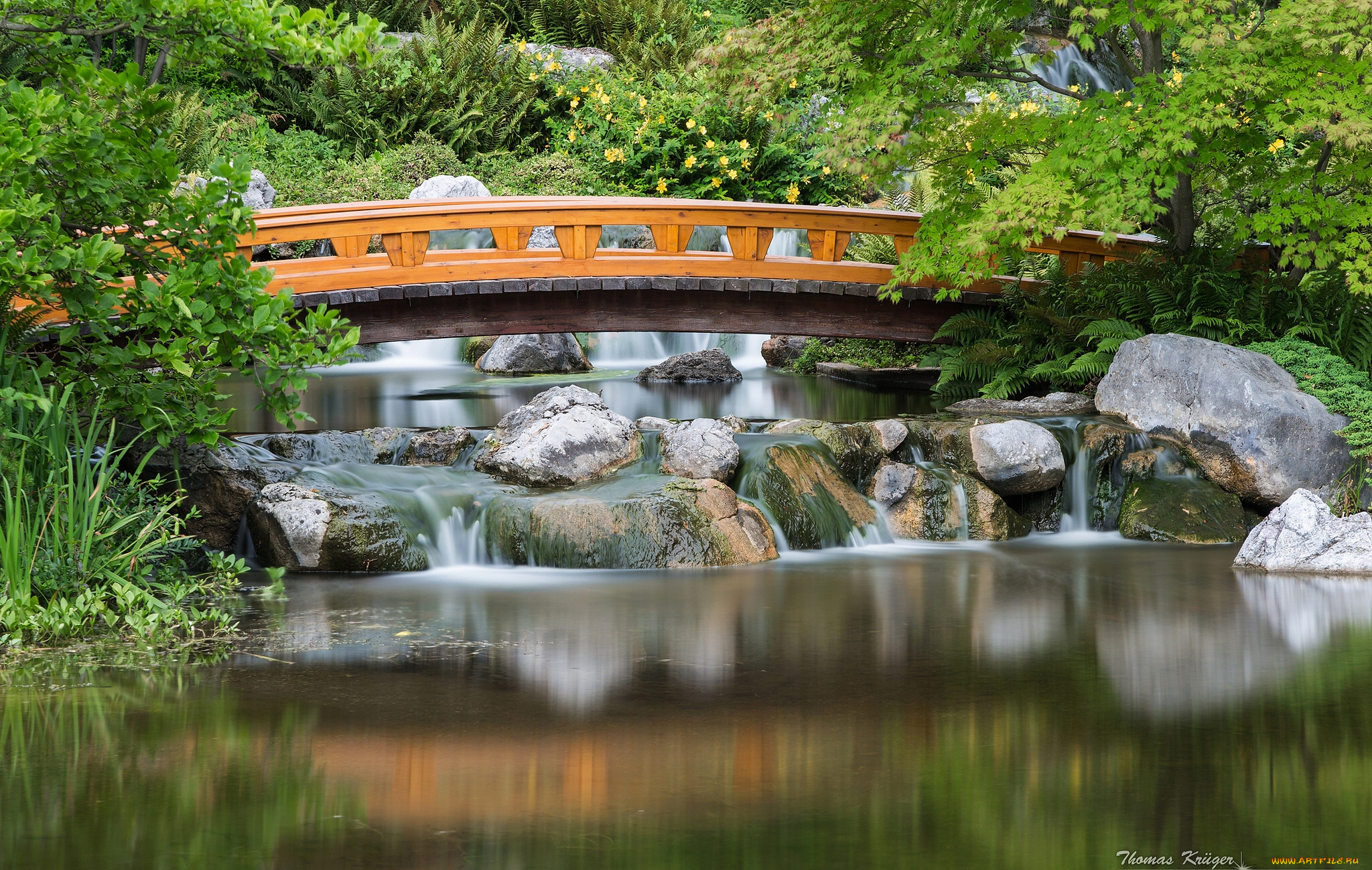 setagaya, park, japanese, garden, vienna, austria, природа, парк, Японский, сад, австрия, мост, каскад, камни, вена