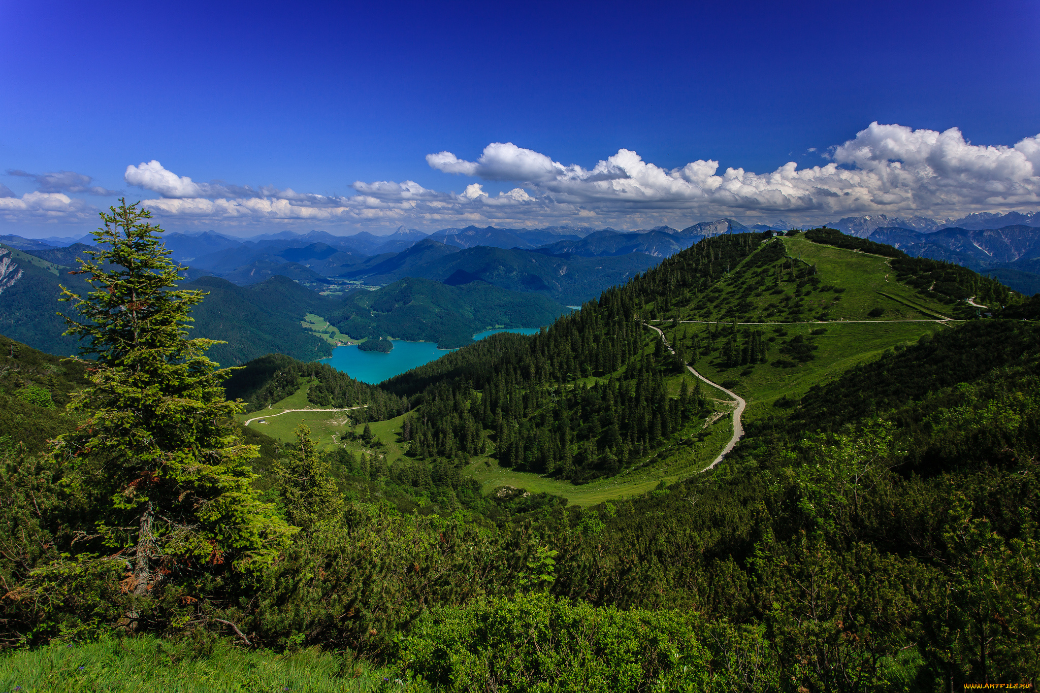 bavarian, alps, germany, природа, горы, панорама, леса, озеро, германия, баварские, альпы