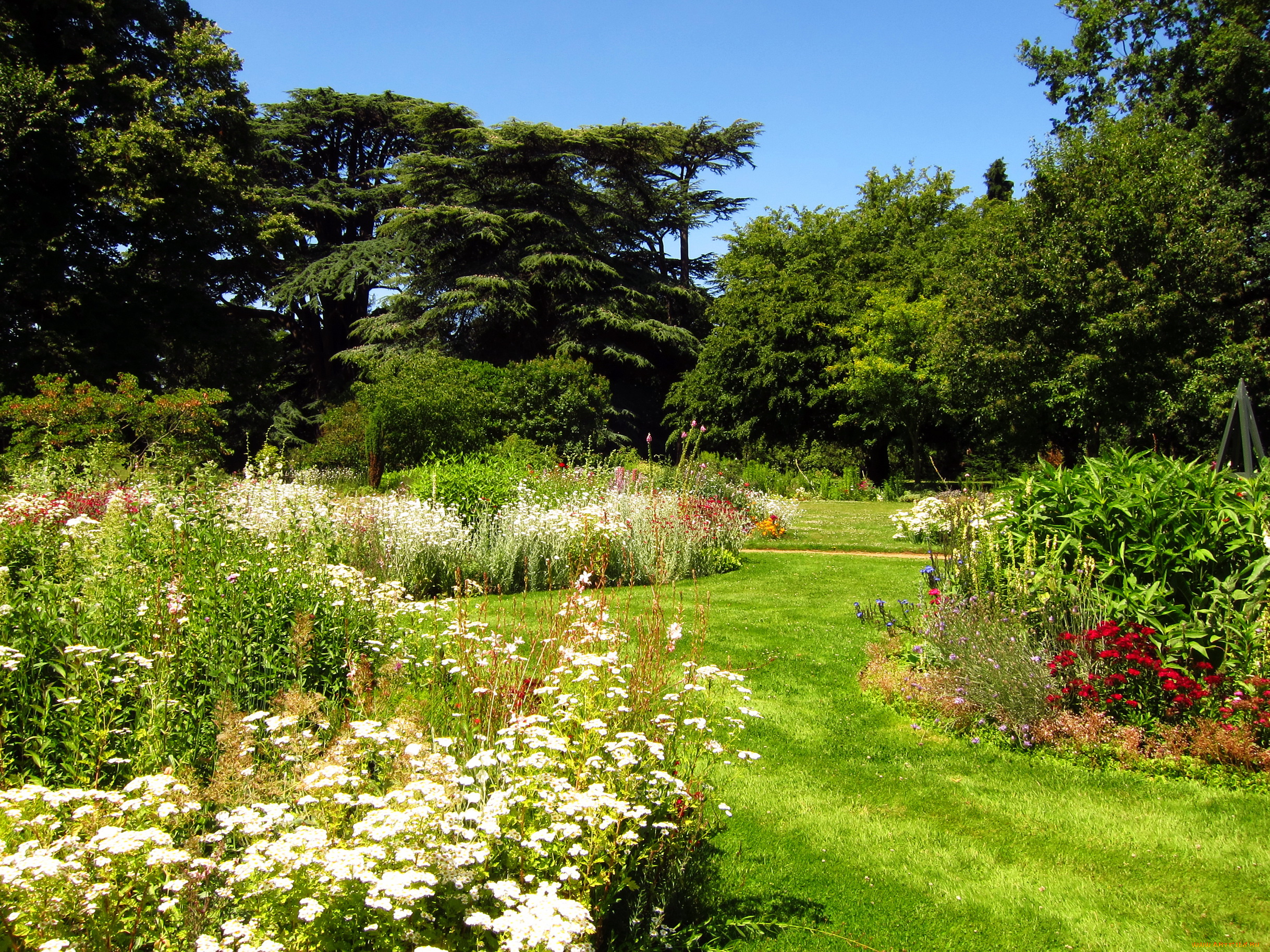 osterley, park, hounslow, england, природа, парк, трава, растения