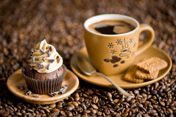 Картинка еда разное кружка печенье кофе кексик кофейные зёрна