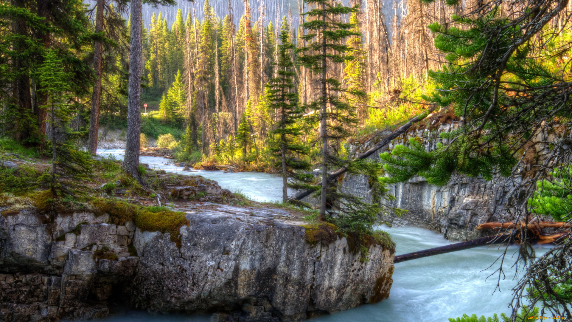 kootenay, national, park, канада, природа, реки, озера, река, canada, парк, лес, park, kootenay