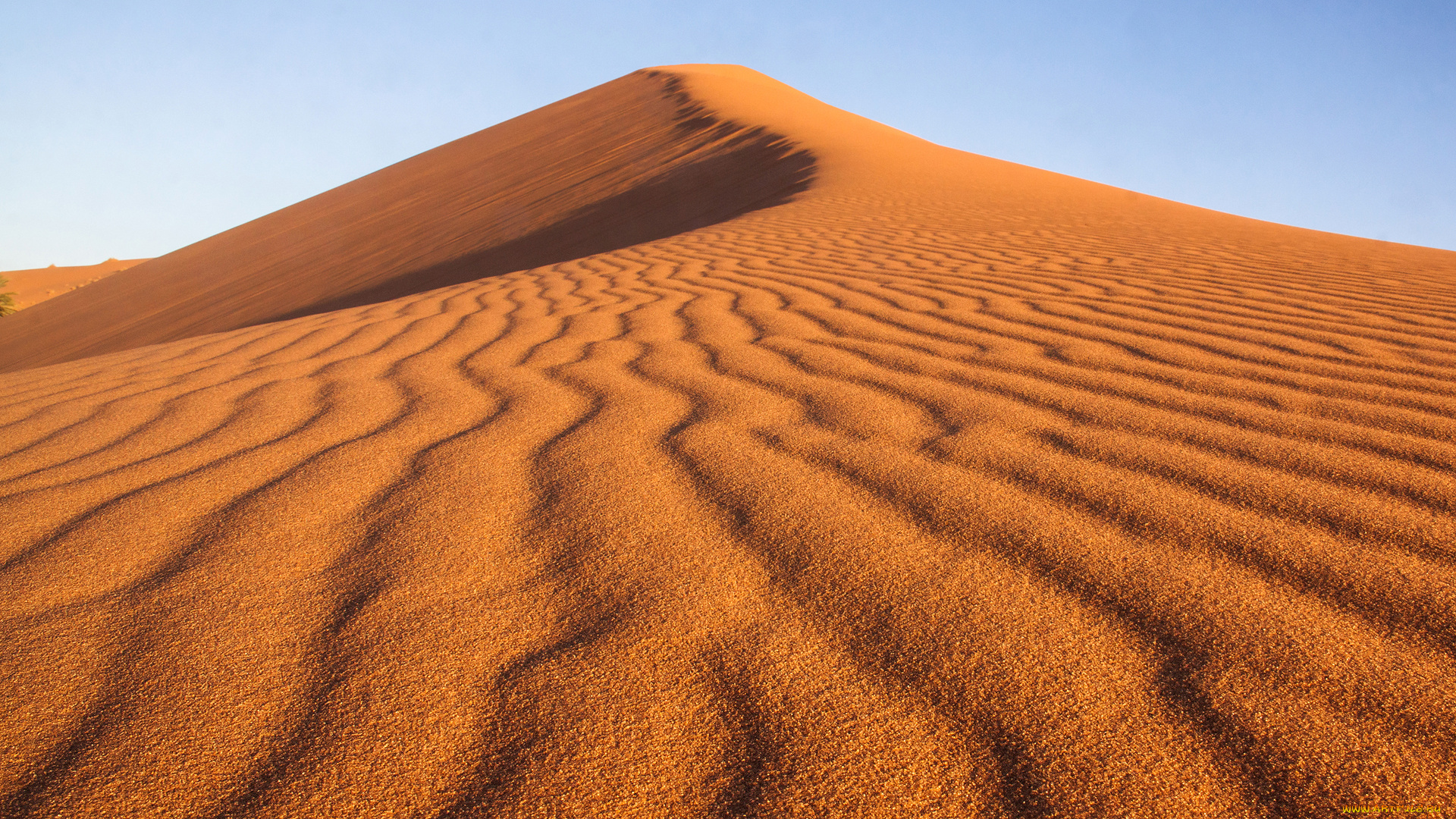 природа, пустыни, бархан, дюна, песок