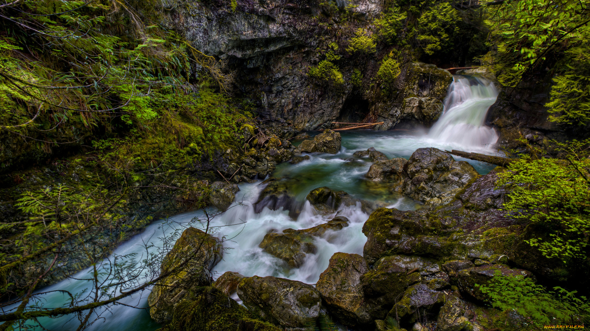 природа, водопады, водопад, река, лес