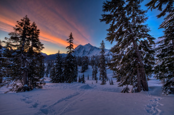 Картинка природа зима зарево следы снег лес горы