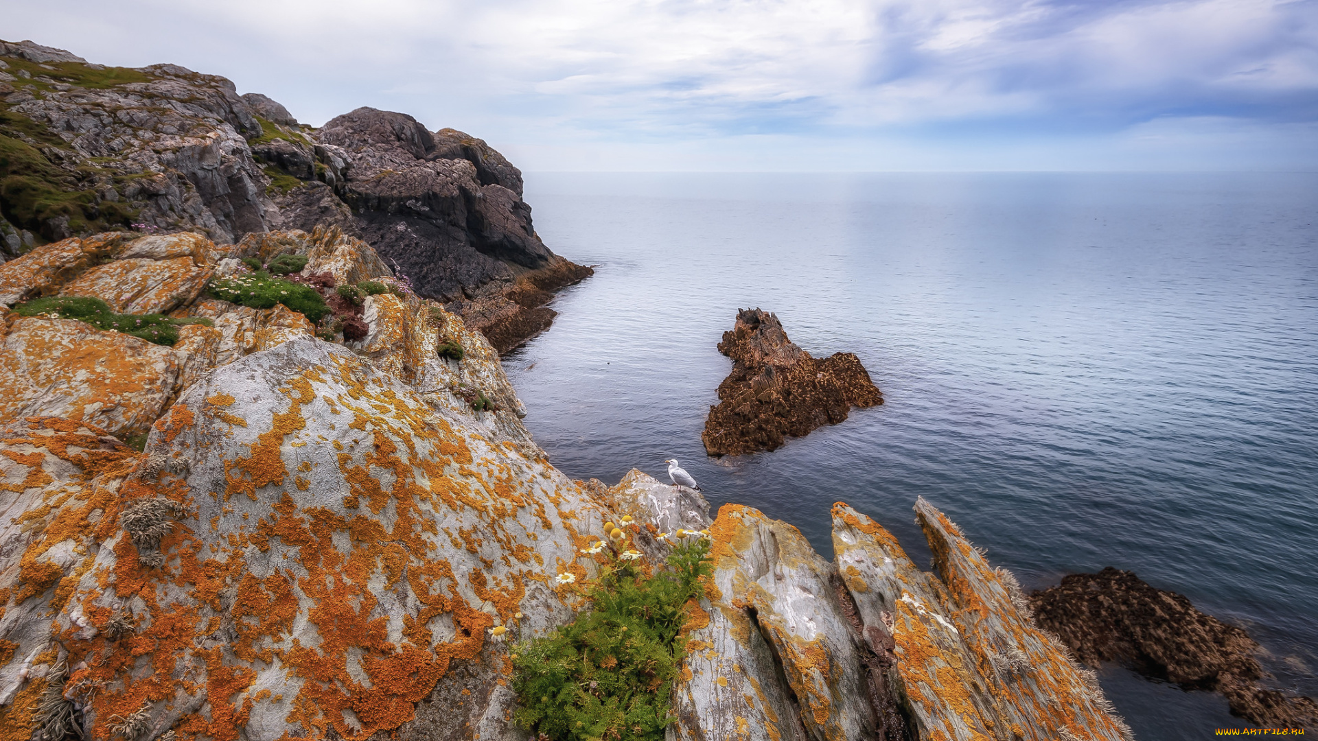 природа, побережье, берег, море