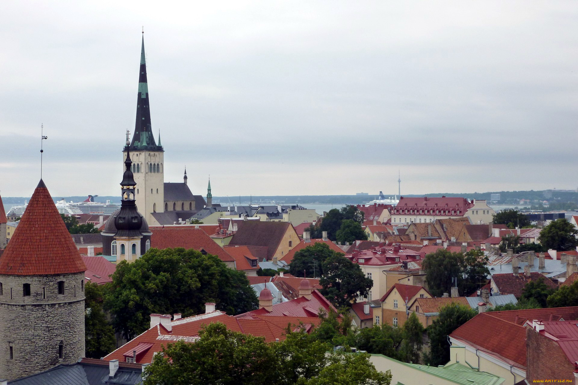 города, таллин, , эстония, панорама, крыши