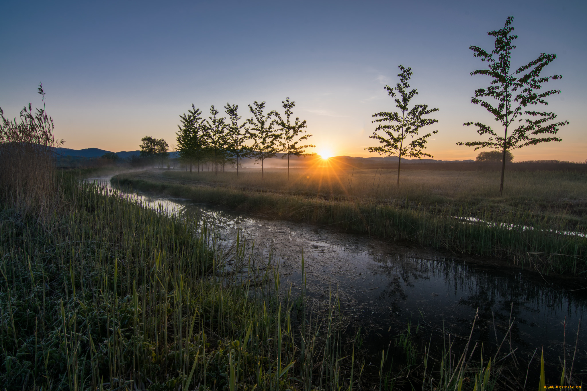 природа, реки, озера, река, лес