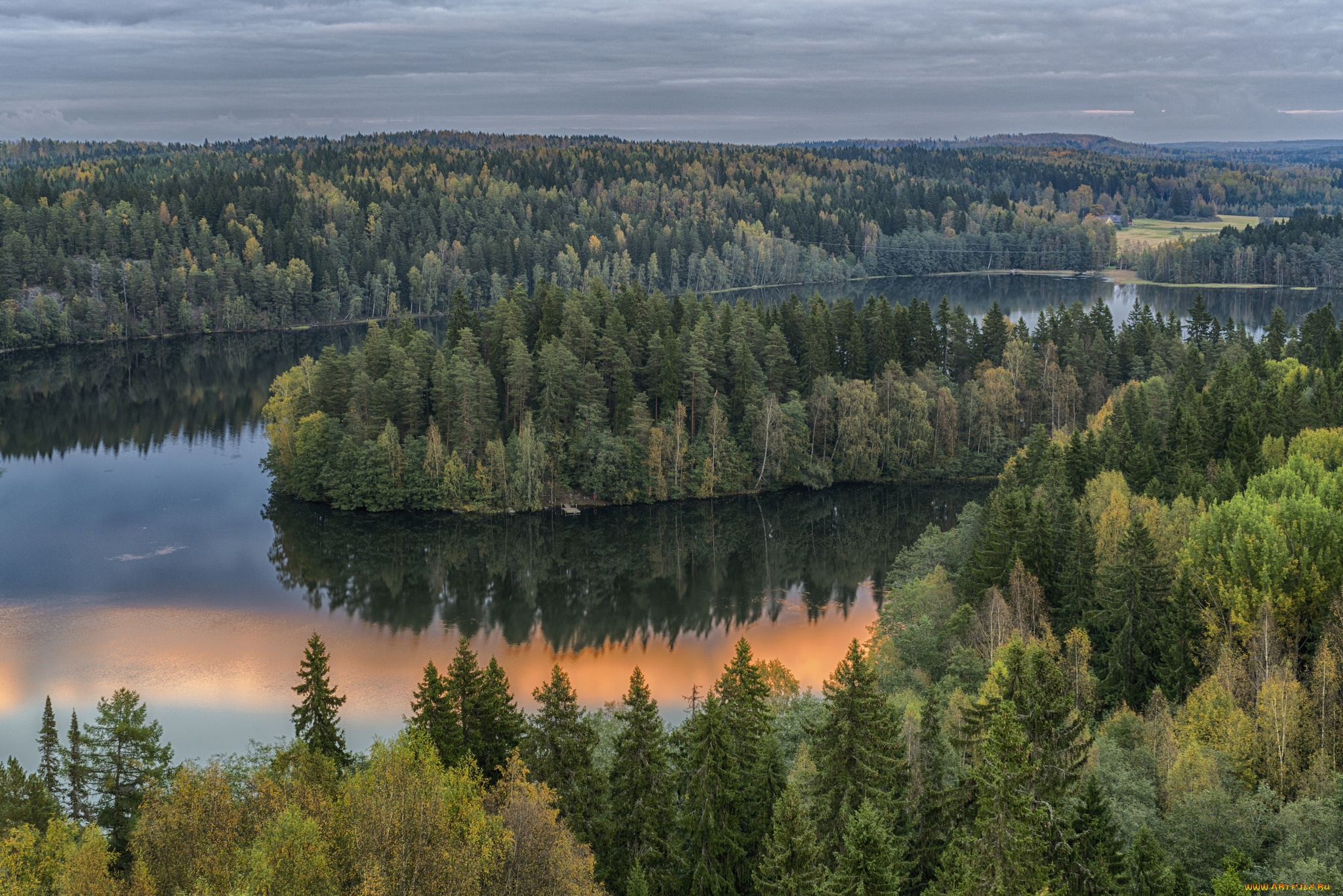 природа, реки, озера, лес, река