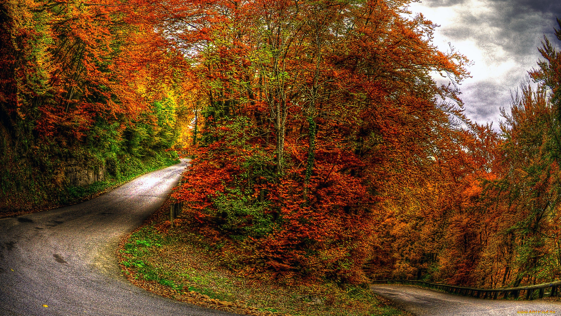 autumn, природа, дороги, деревья, дорога, осень