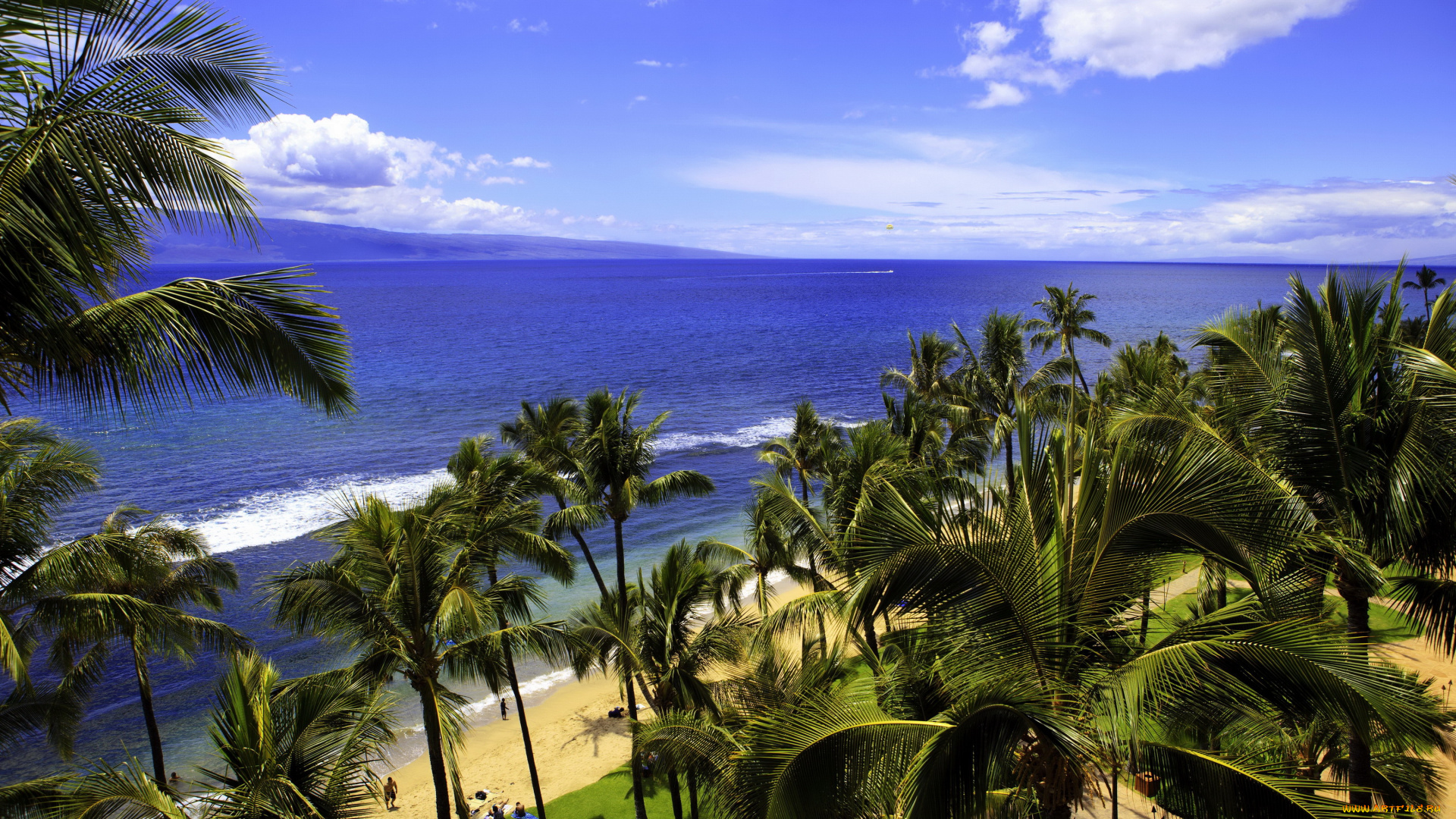 hawaii, природа, тропики