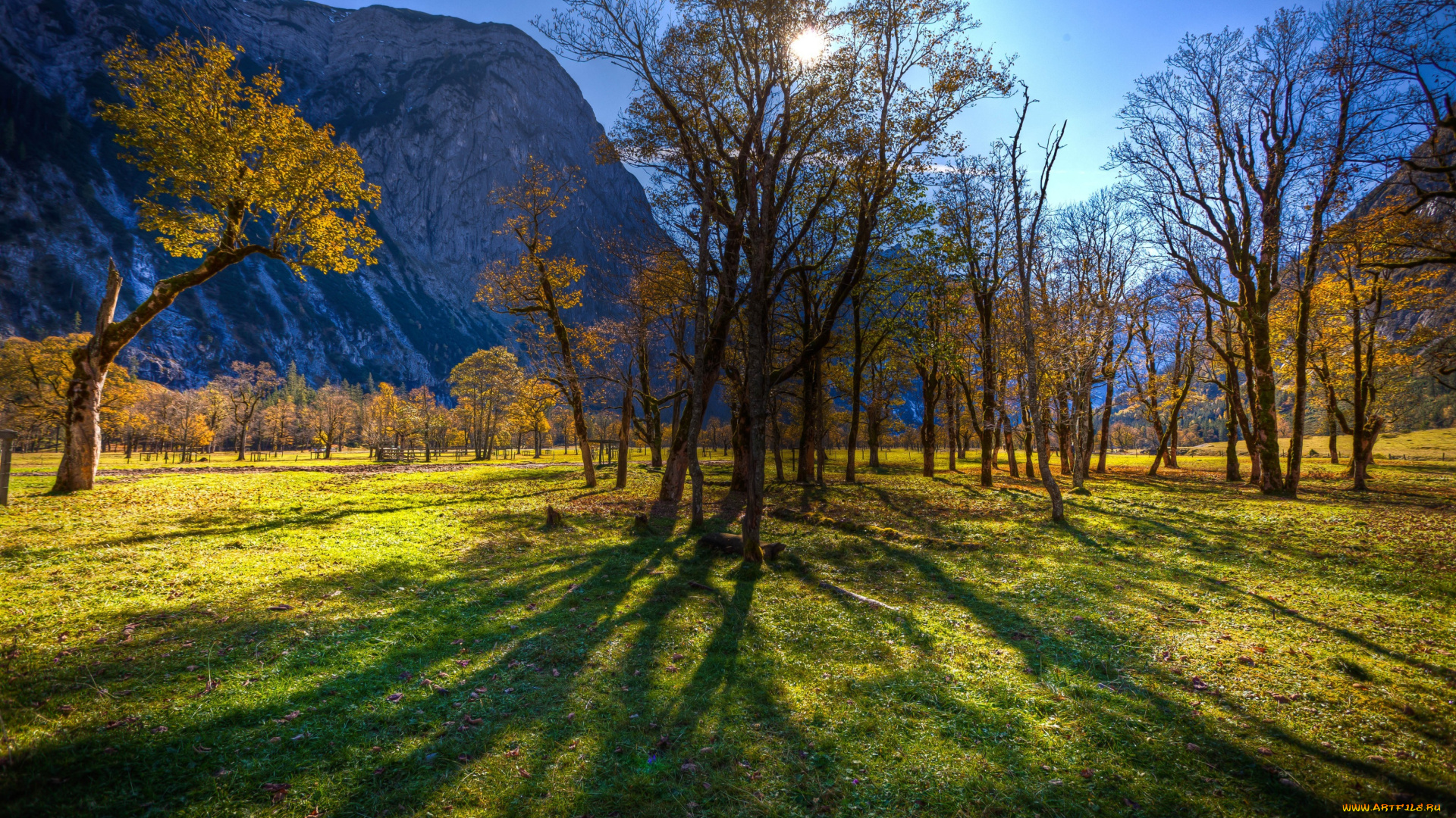 landscape, hdr, природа, деревья, свет, горы