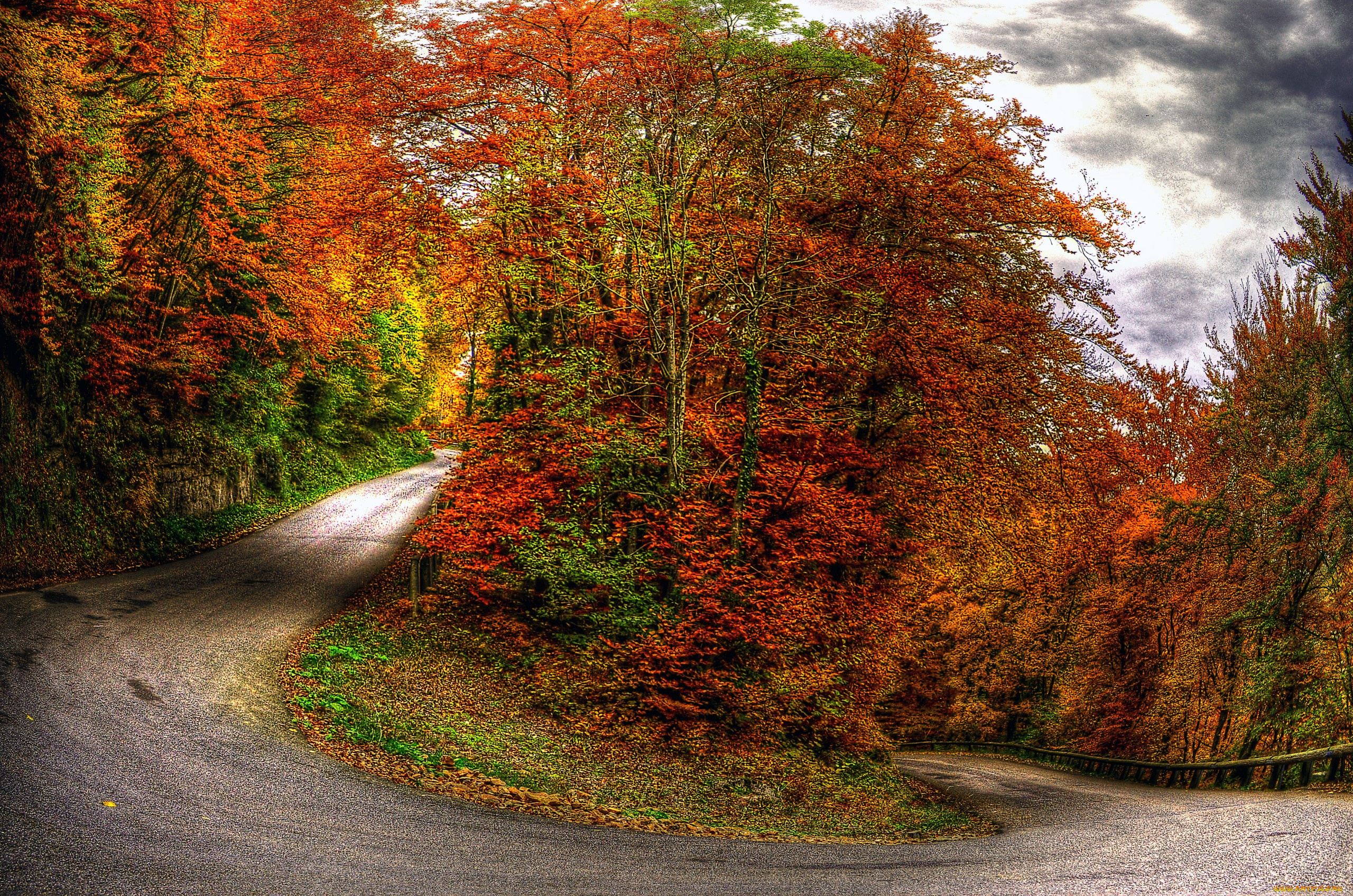 autumn, природа, дороги, деревья, дорога, осень