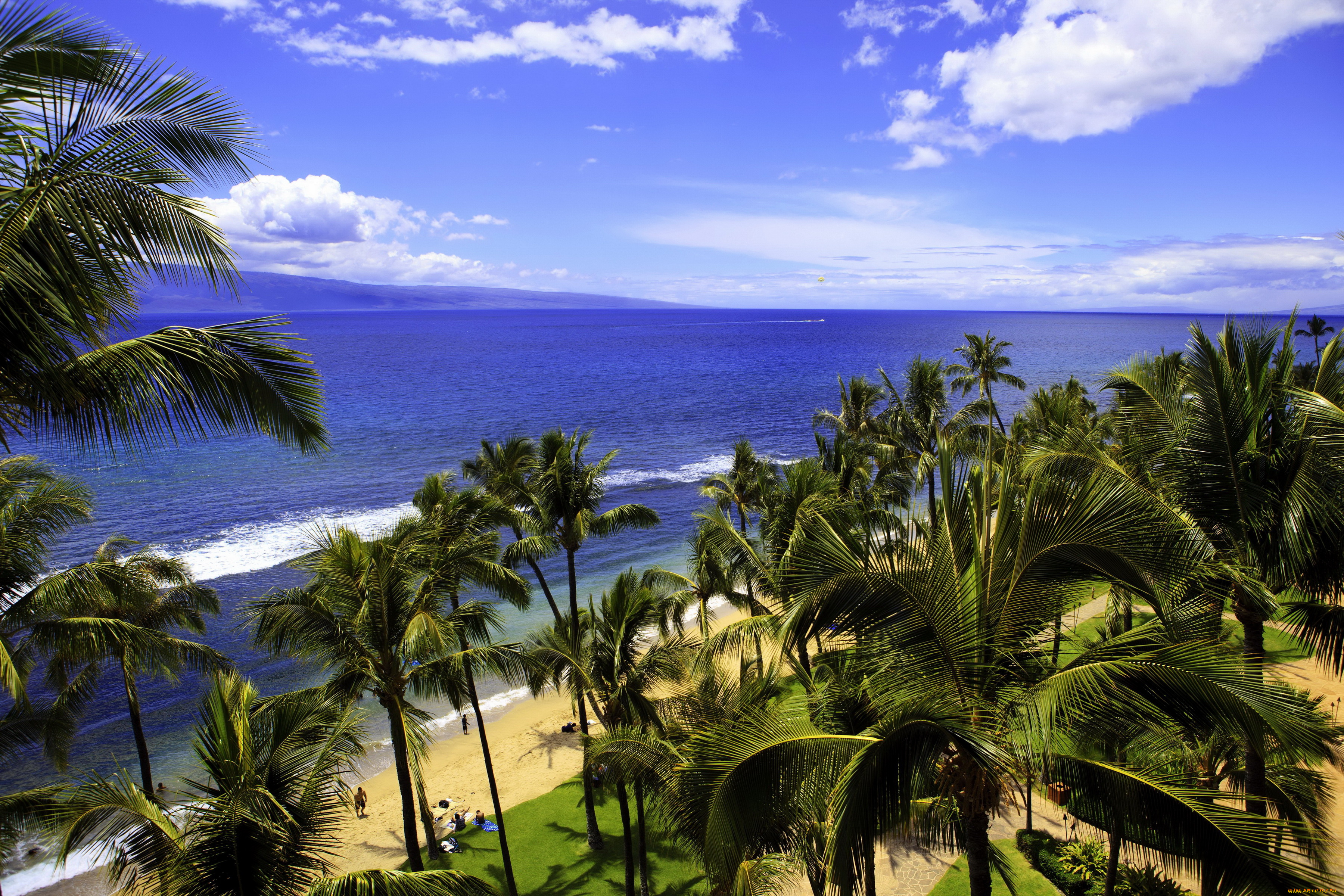 hawaii, природа, тропики