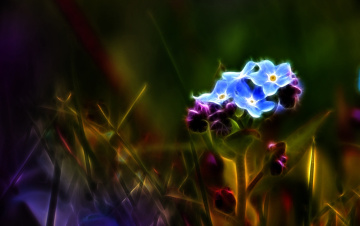природа цветы графика nature flowers graphics бесплатно