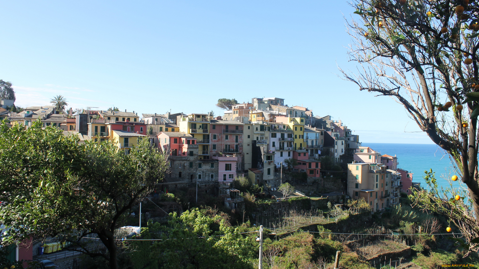 cinqueterre, италия, города, амальфийское, лигурийское, побережье, берег, дома, море