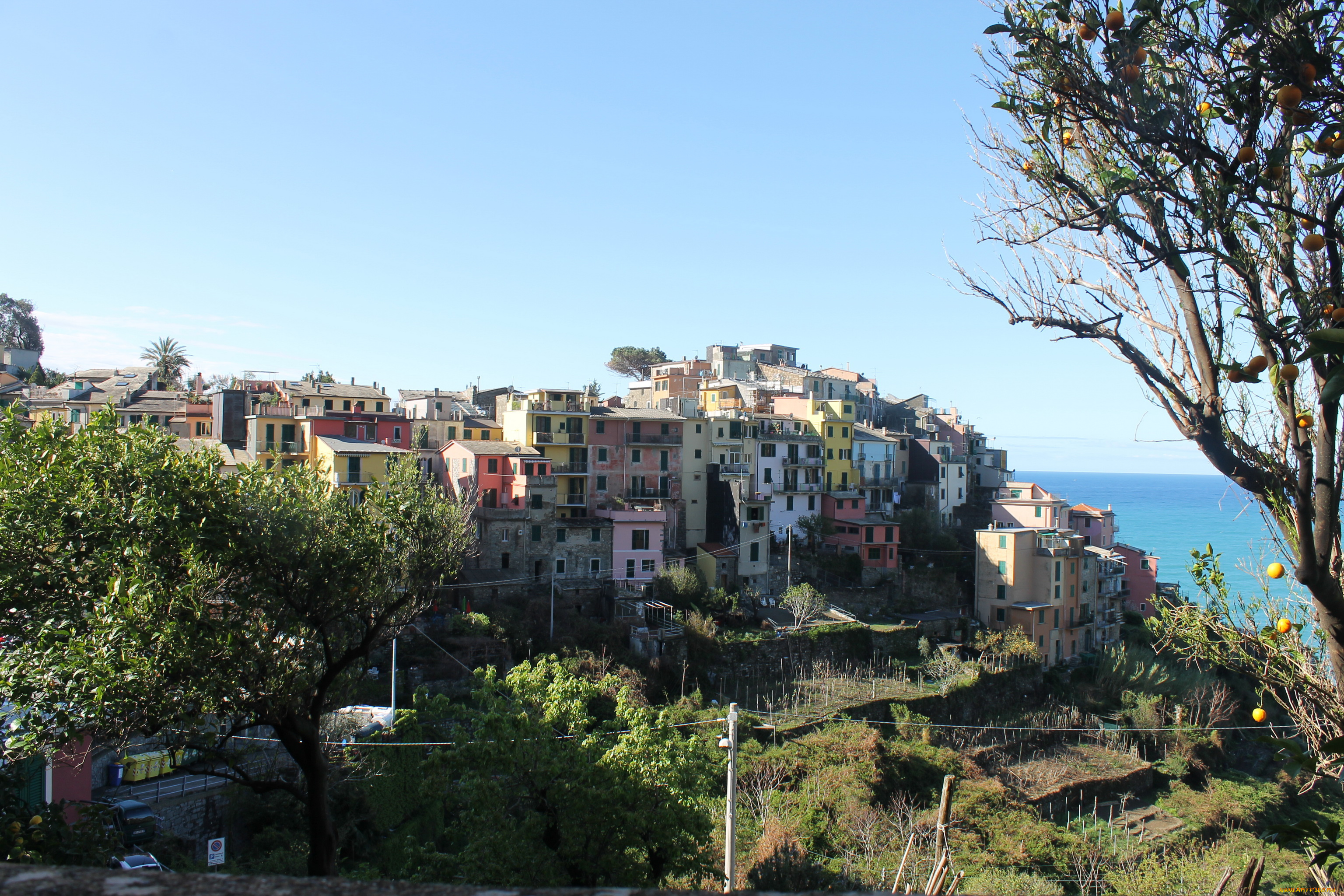 cinqueterre, италия, города, амальфийское, лигурийское, побережье, берег, дома, море